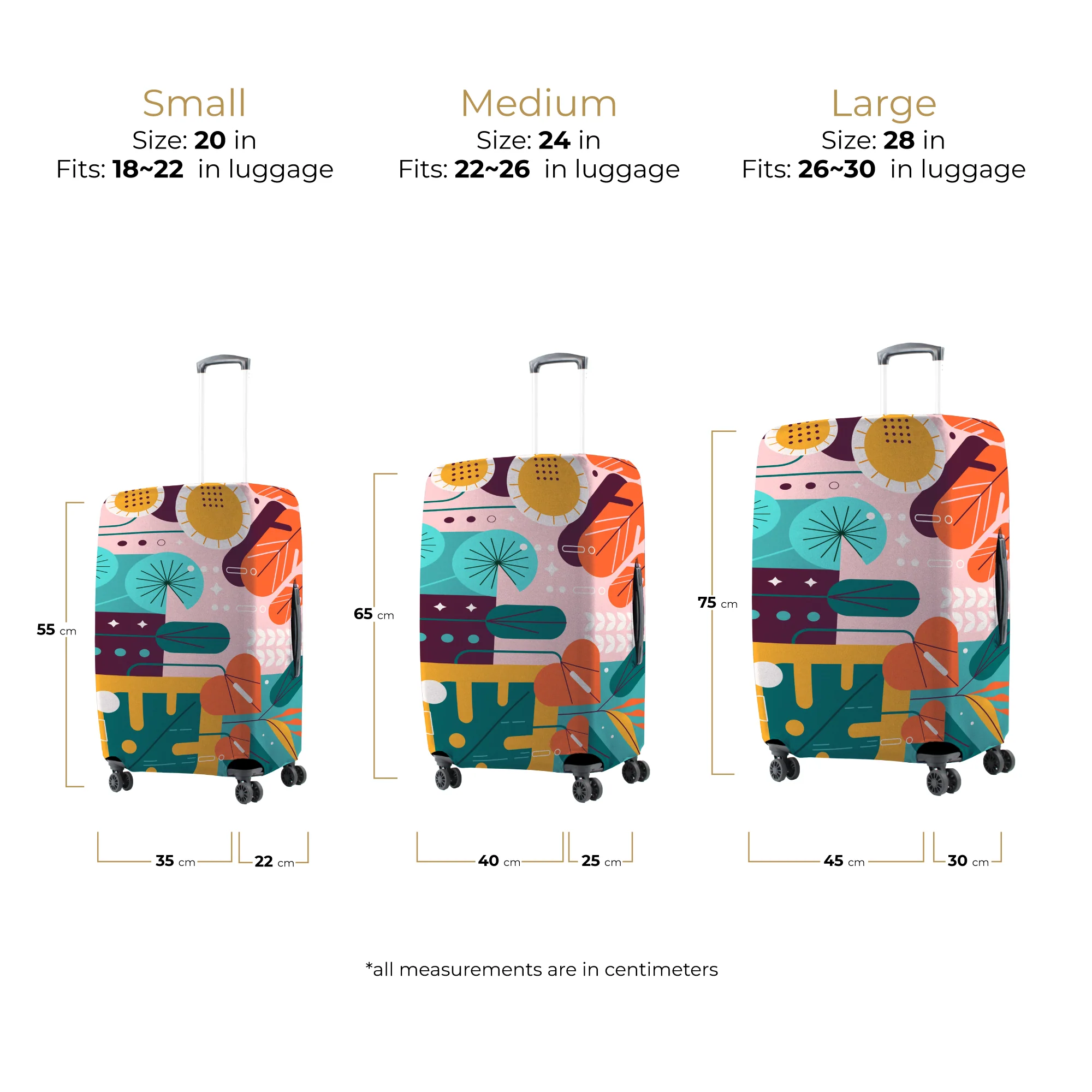 Summer - Image 7