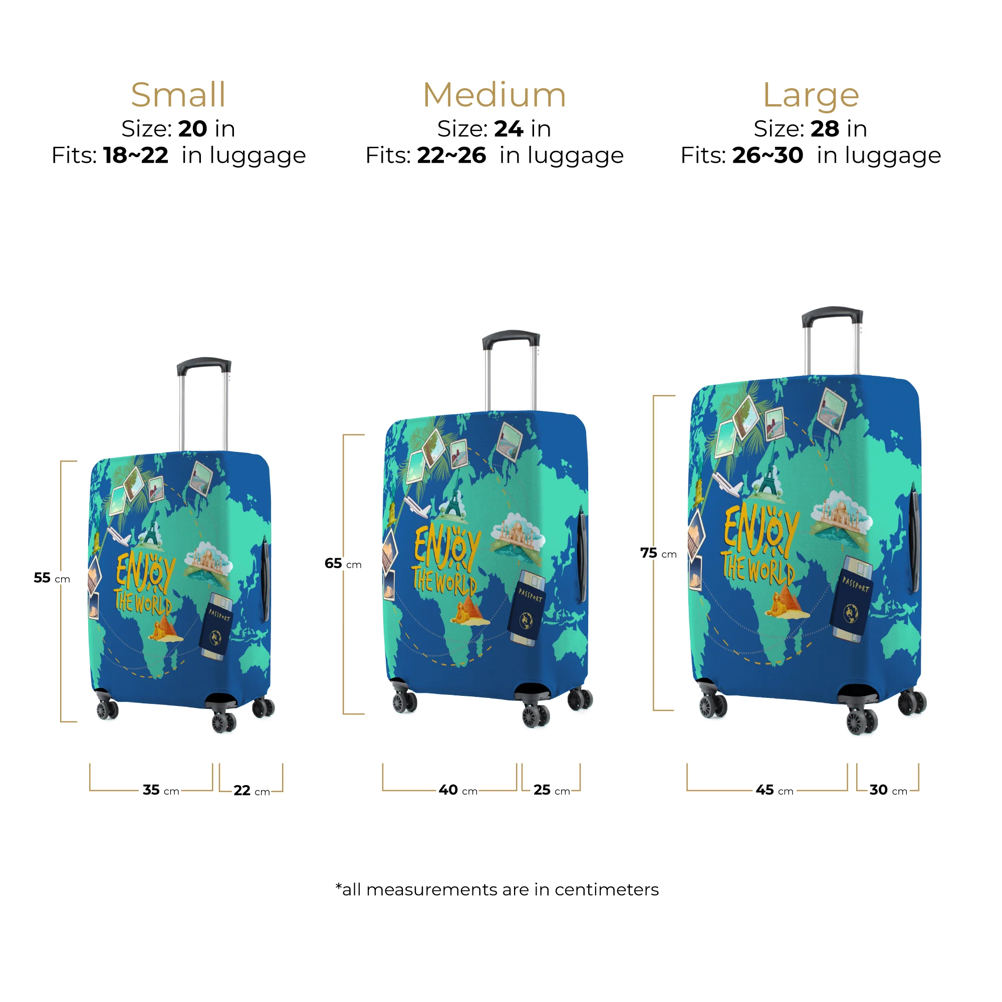 World - Image 7